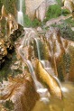 nationalpark_tumbs_hoch_2