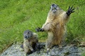 nationalpark_tumbs_quer_6