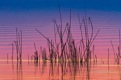 nationalpark_tumbs_quer_7