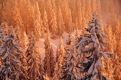 nationalpark_tumbs_quer_8