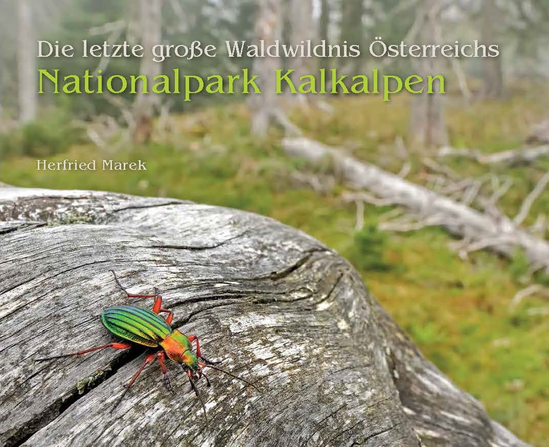 Kalkalpen
