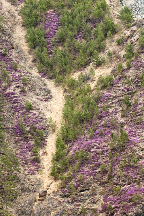 Landschaften_thumbs_hoch_1_2