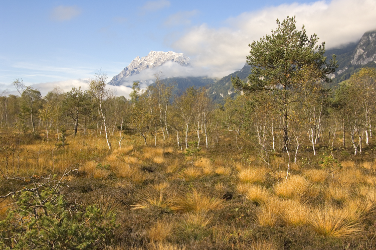 Landschaften_tumbs_quer_1_2
