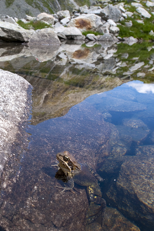 Landschaften_thumbs_hoch_3_2