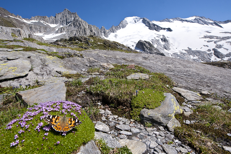 Landschaften_tumbs_quer_3_6