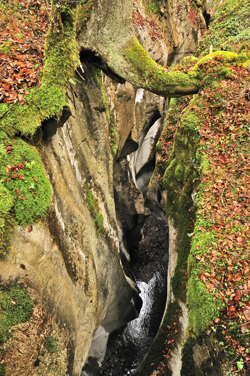 Landschaften_thumbs_hoch_5_2