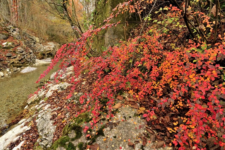 Landschaften_tumbs_quer_5_3