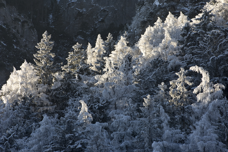 Landschaften_tumbs_quer_6_4