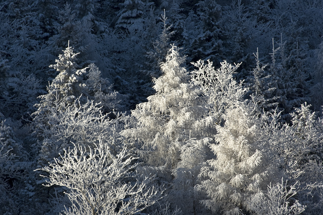 Landschaften_tumbs_quer_6_5