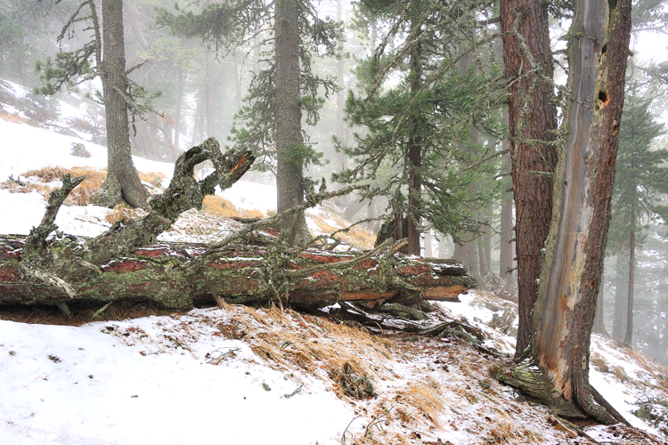 Landschaften_tumbs_quer_6_7