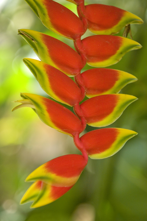 Reisen_thumbs_hoch_2_2