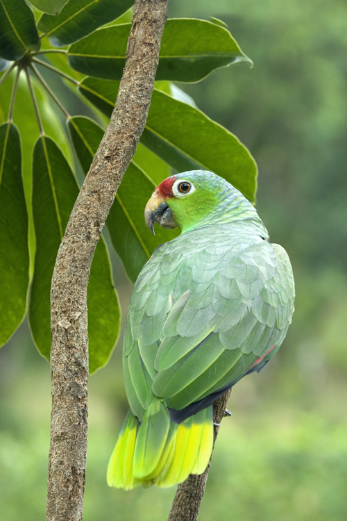 Reisen_thumbs_hoch_2_3