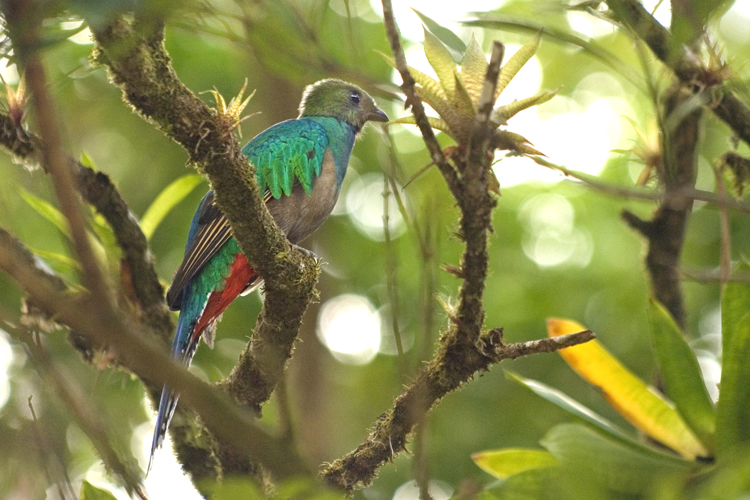 Reisen_tumbs_quer_2_2