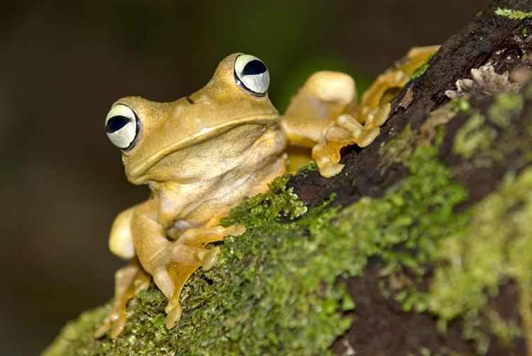 Reisen_tumbs_quer_2_3