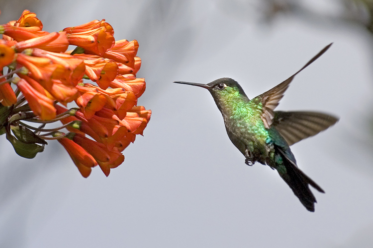 Reisen_tumbs_quer_2_5