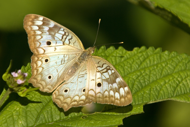 Reisen_tumbs_quer_2_6