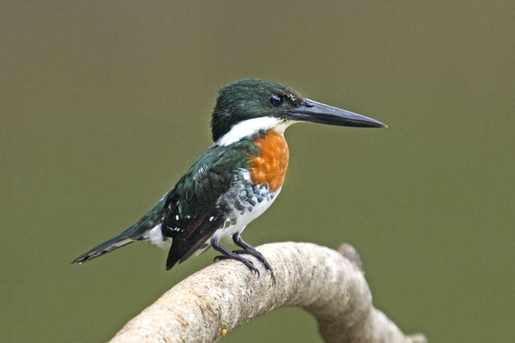 Reisen_tumbs_quer_2_7