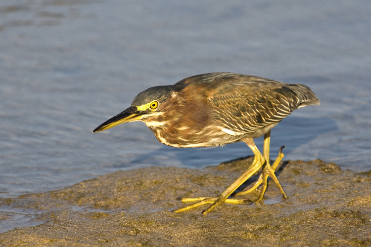 Reisen_tumbs_quer_2_9