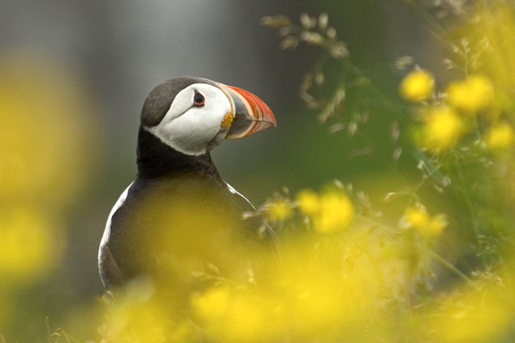 Reisen_tumbs_quer_3_2