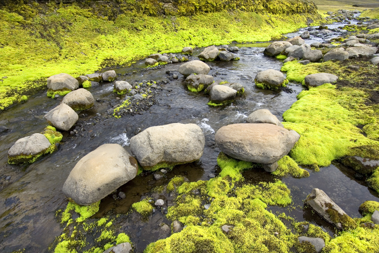 Reisen_tumbs_quer_3_4