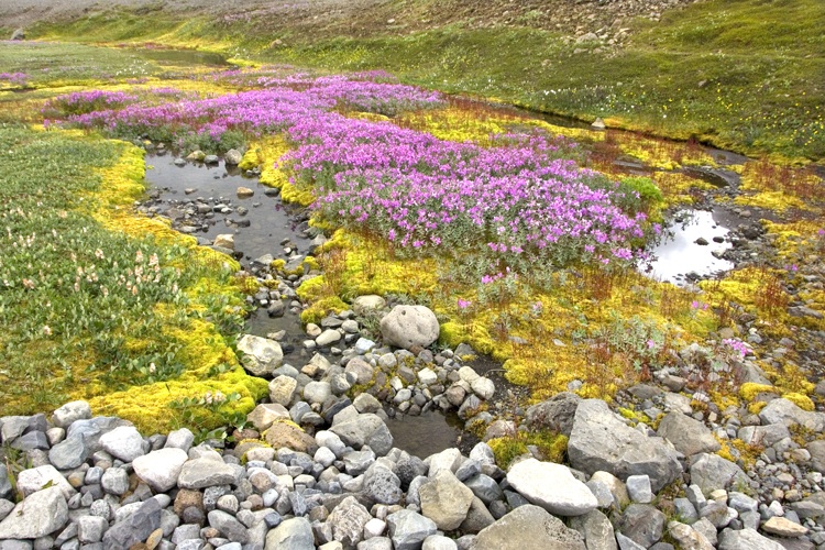 Reisen_tumbs_quer_3_5