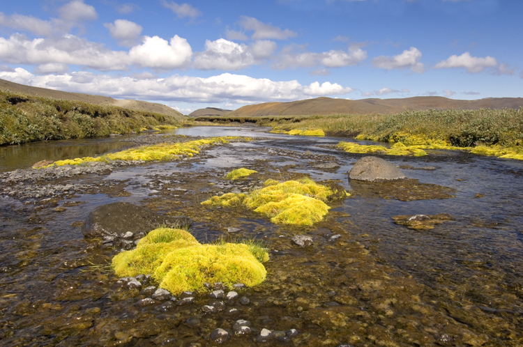 Reisen_tumbs_quer_3_8