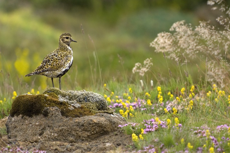 Reisen_tumbs_quer_3_9