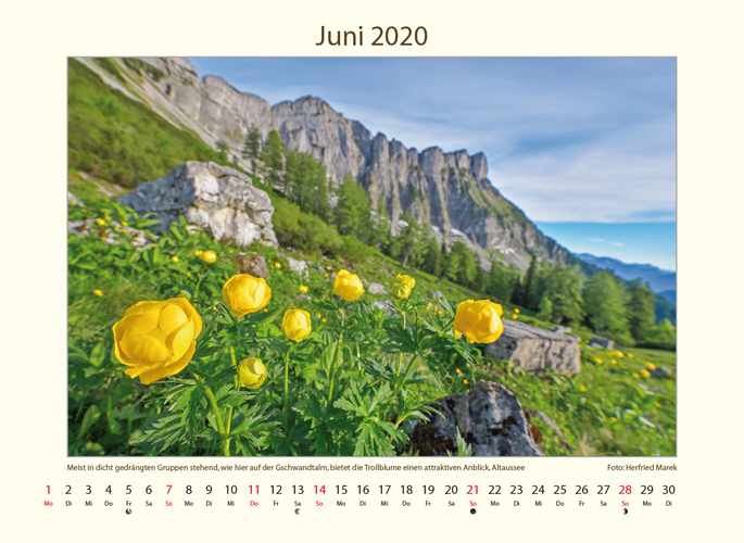 kalender_tumbs_quer_7