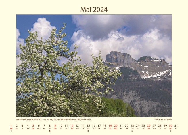 kalender_tumbs_quer_6