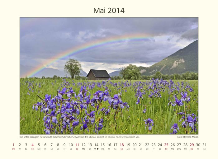 kalender_tumbs_quer_6