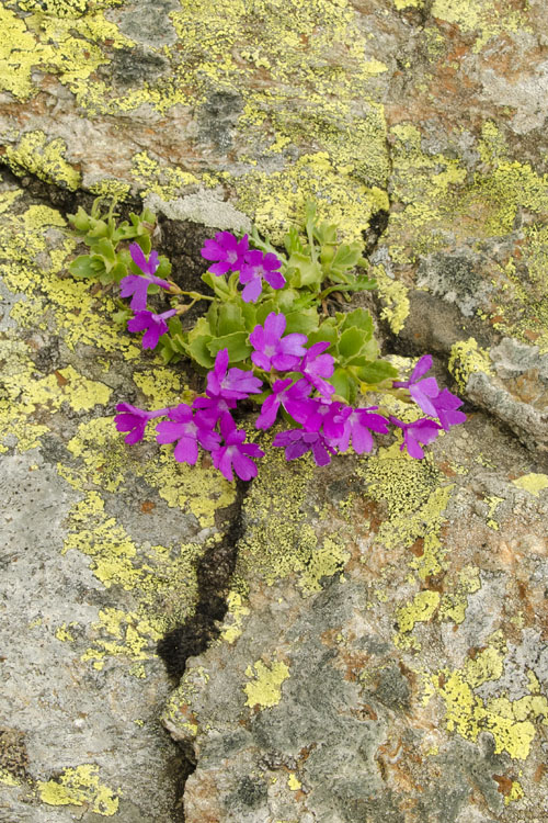 neuebilder_hoch_2