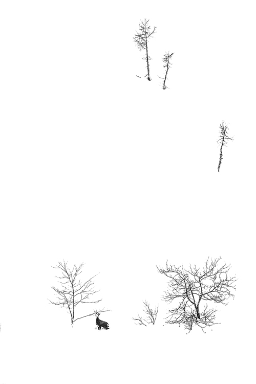 neuebilder_hoch_2