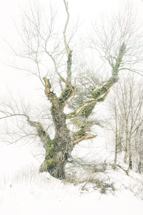 neuebilder_hoch_3