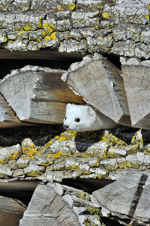 neuebilder_hoch_2