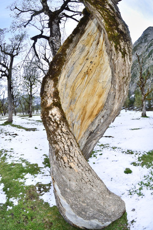neuebilder_hoch_2