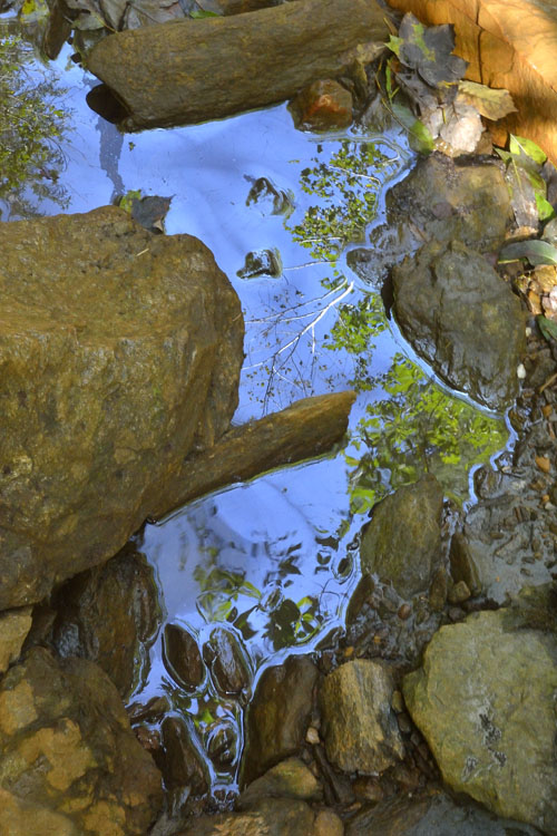 neuebilder_hoch_1