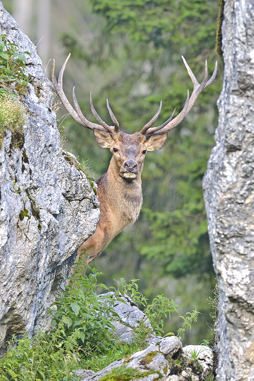 neuebilder_hoch_3