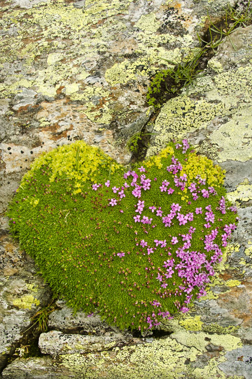 neuebilder_hoch_2
