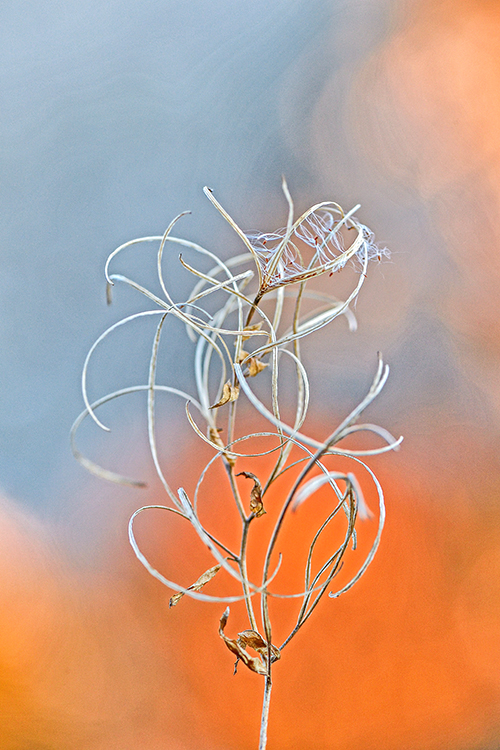 neuebilder_hoch_2
