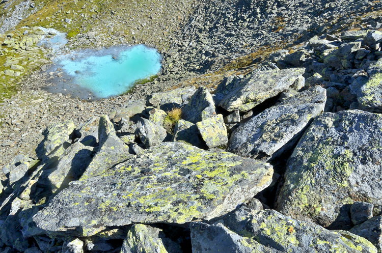 neuebilder_quer_3