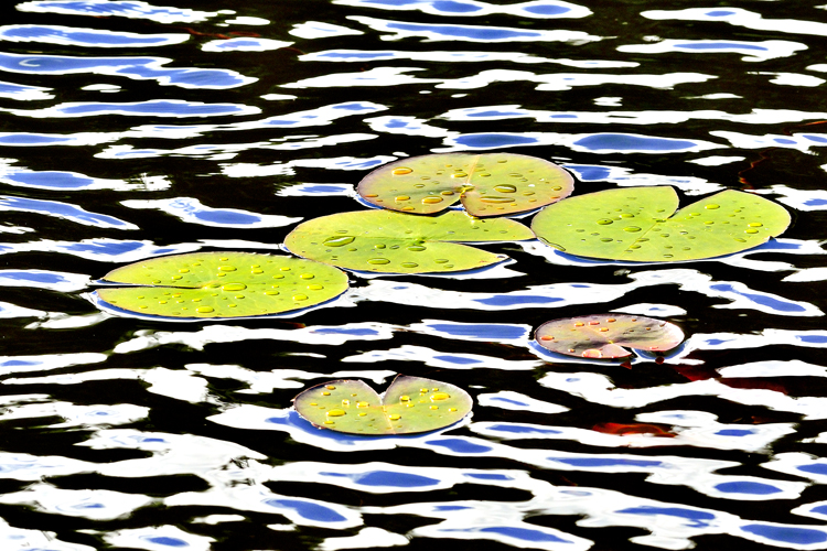 neuebilder_quer_3