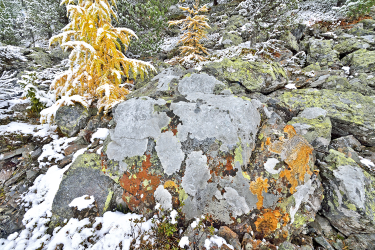 neuebilder_quer_8