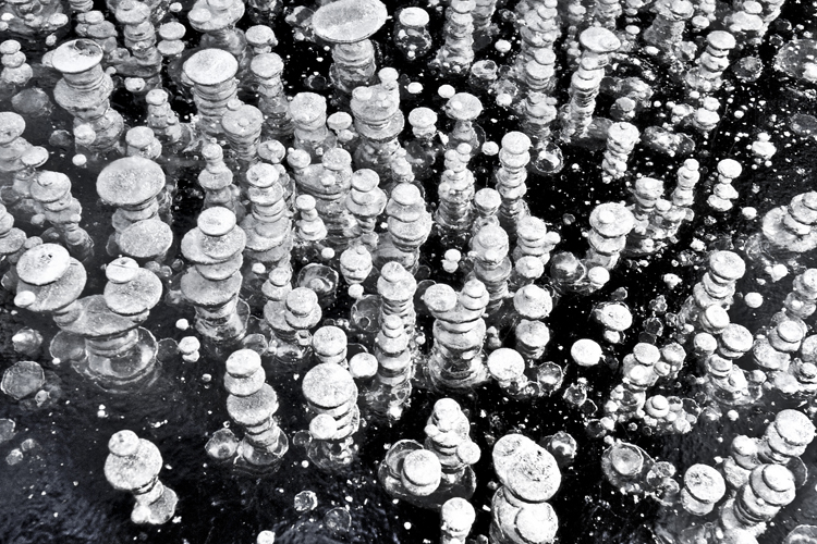 neuebilder_quer_8
