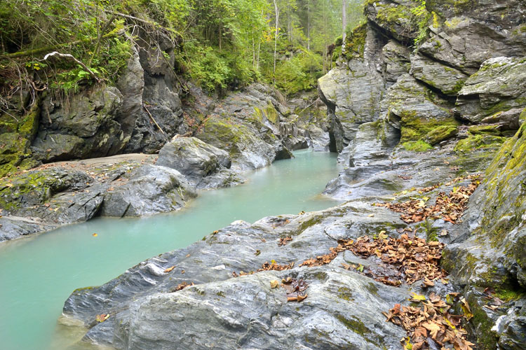 neuebilder_quer_5