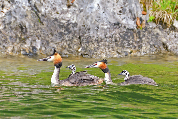 neuebilder_quer_2