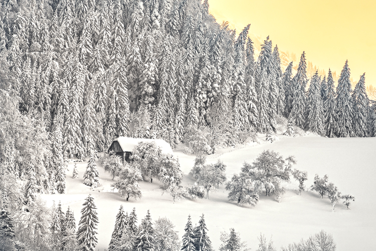 neuebilder_quer_9