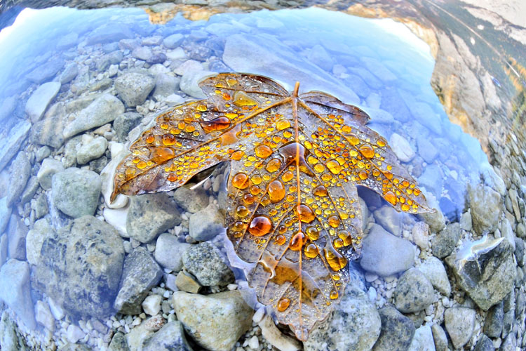 neuebilder_quer_7