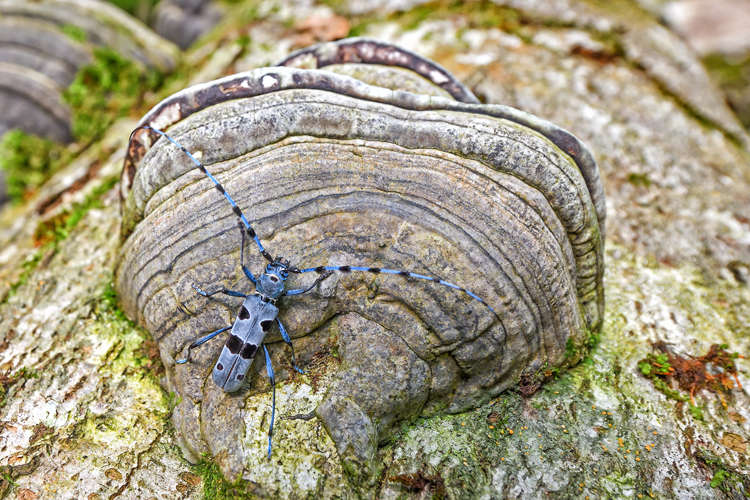 neuebilder_quer_3