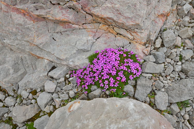 neuebilder_quer_2