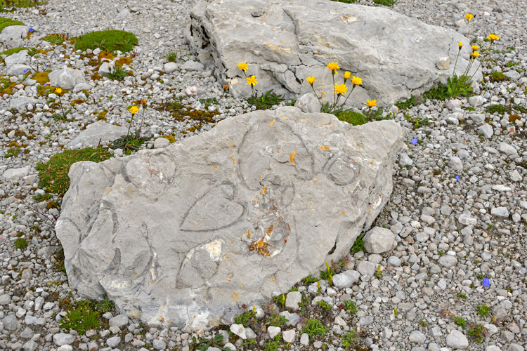 neuebilder_quer_3